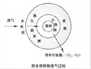 十大网投靠谱平台